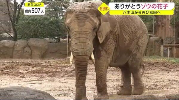 仙台の話題 まちくる仙台