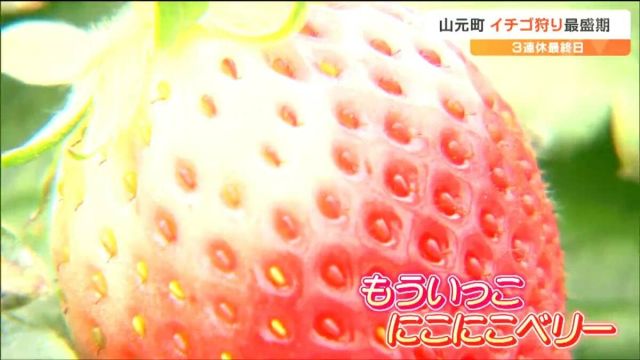 画像1: https://prcdn.freetls.fastly.ne...
![