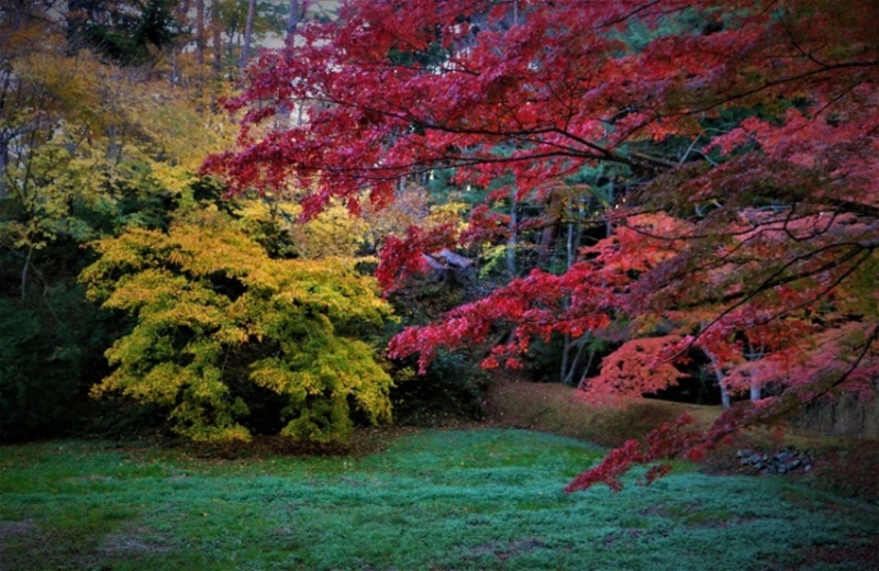 松島四大観（幽観）・扇谷のいろは紅葉